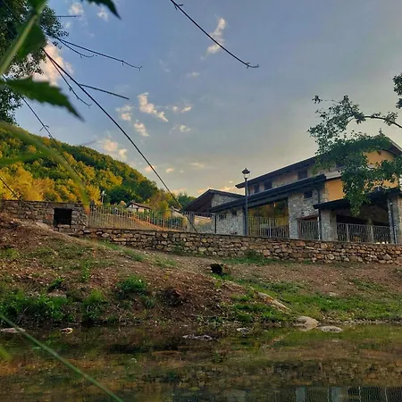 Alojamento de Turismo Rural Domus Lauri *