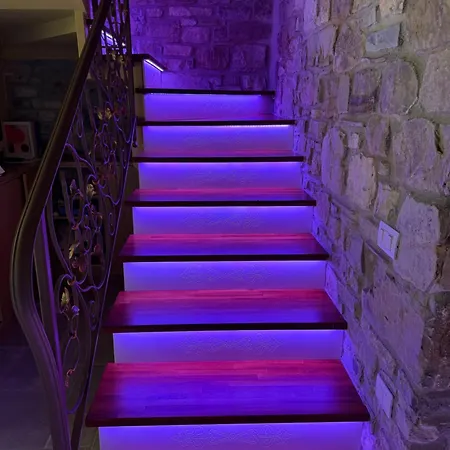 Domus Lauri